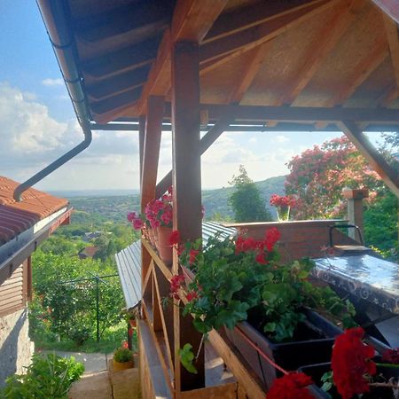 Apartment Noletov Vidikovac Врдник Экстерьер фото