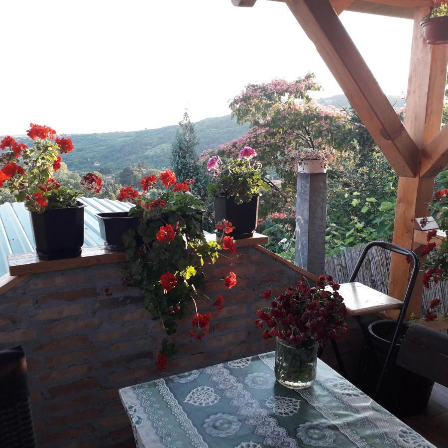 Apartment Noletov Vidikovac Врдник Экстерьер фото