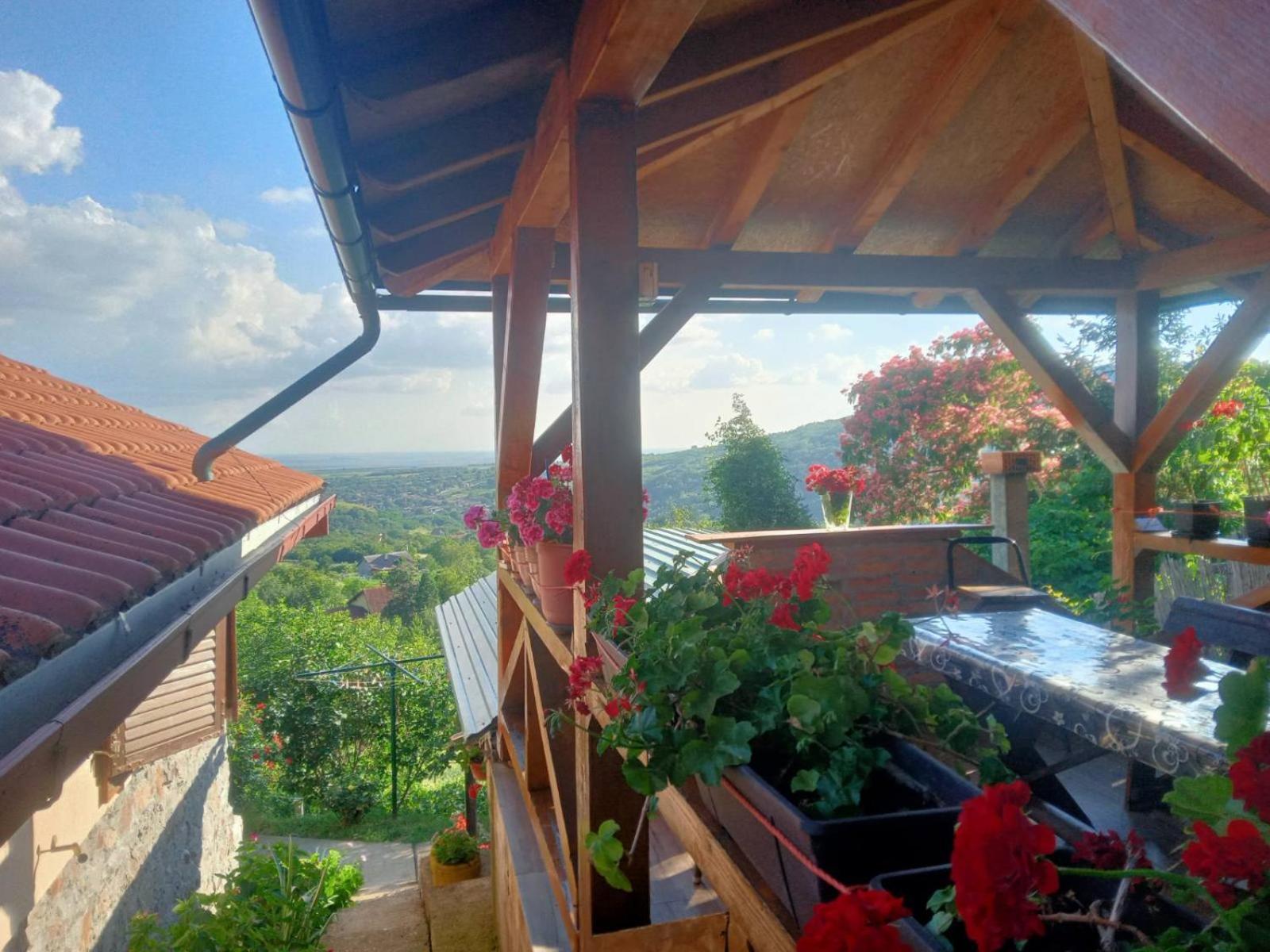 Apartment Noletov Vidikovac Врдник Экстерьер фото