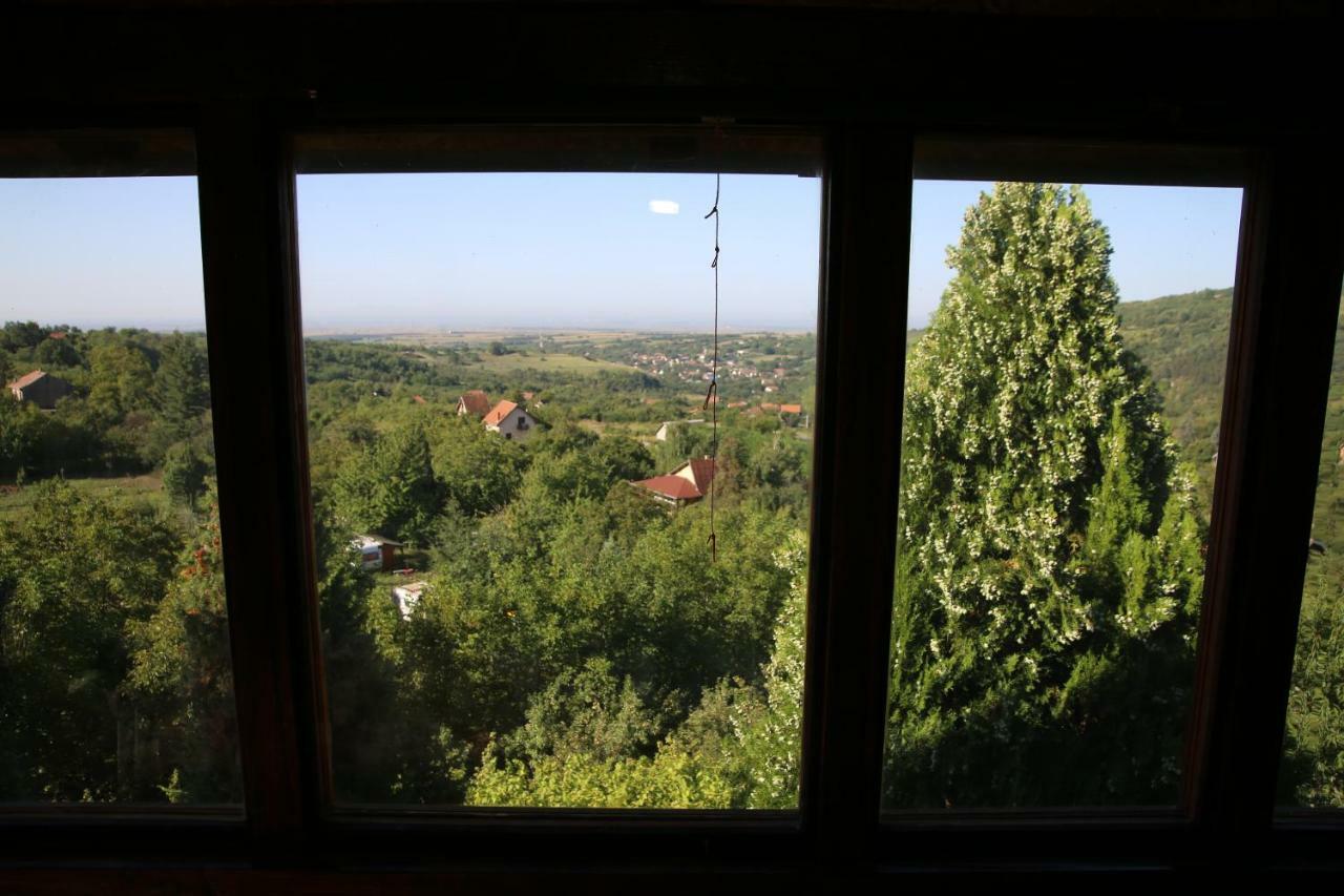Apartment Noletov Vidikovac Врдник Экстерьер фото